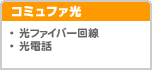 �A�N�Z�X�R�~���t�@