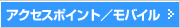 �A�N�Z�X�|�C���g�E���o�C��
