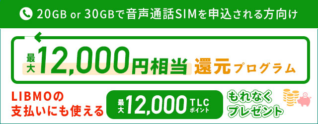 最大12,000円相当ポイント還元プログラム