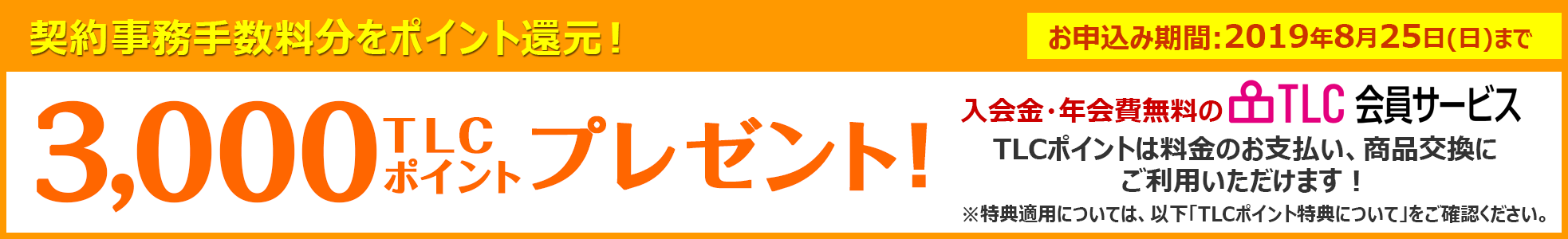 3000TLCポイントプレゼント!