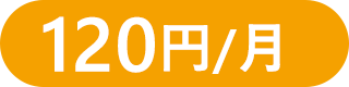 120円/月