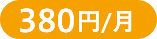 380円/月