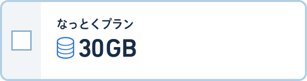 なっとくプラン 30GBプラン