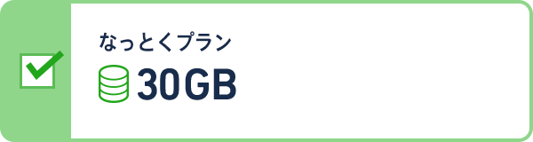 なっとくプラン 30GBプラン