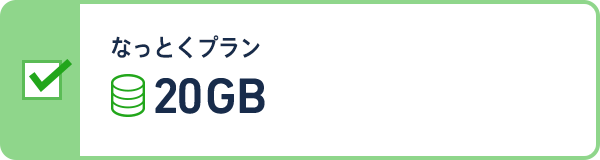 なっとくプラン 20GBプラン