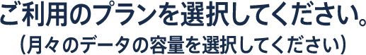 主なインターネットの使用方法を選択してください。（月々のデータの容量を選択してください）