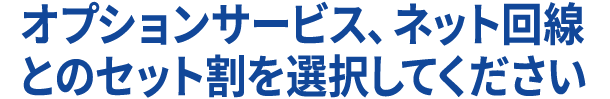 オプションサービスを選択してください