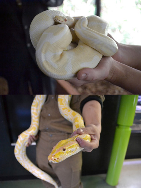 体感型動物園 iZoo