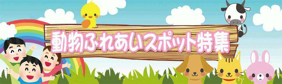 静岡市、沼津市、富士市、浜松市、袋井市の癒しの猫カフェやネコとふれあえるスポットをご紹介。かわいいにゃんこがあなたをお出迎えします。そのほかさまざまな動物と遊べる施設を紹介する動物ふれあいスポット特集