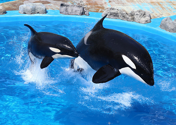 名古屋港水族館