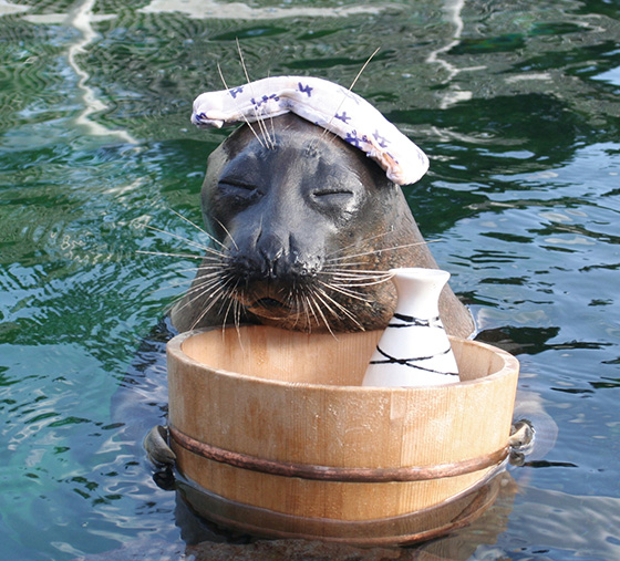 箱根園水族館