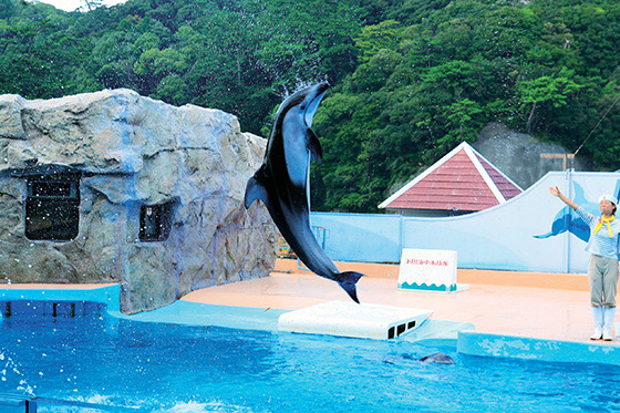 下田海中水族館