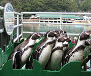 下田海中水族館