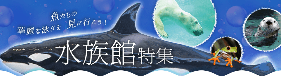 水族館特集 Tnc