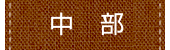 中部