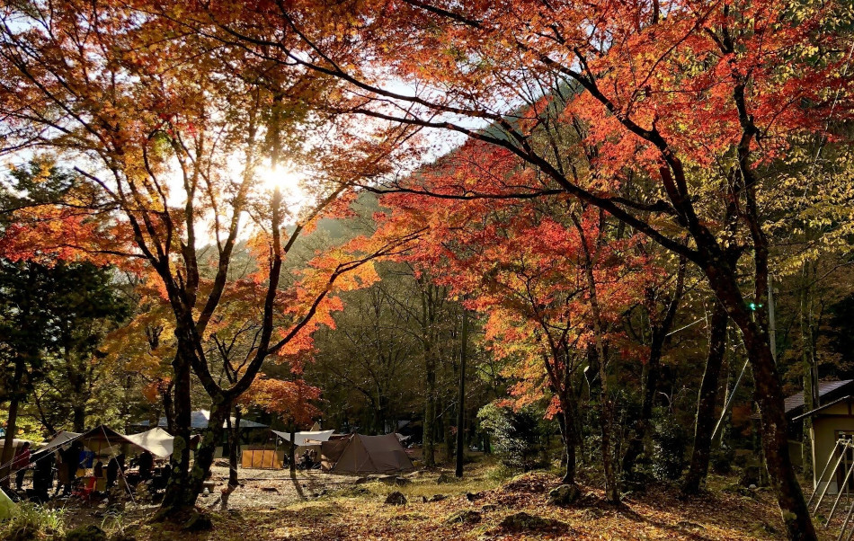 静岡市梅ケ島キャンプ場