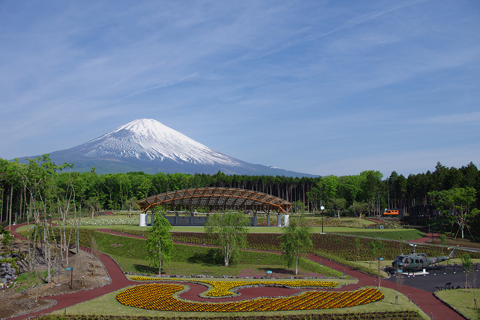 富士山樹空の森