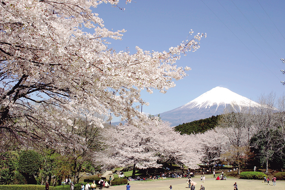 岩本山公園