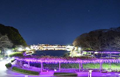 蓮華寺池公園