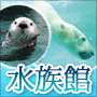 水族館特集