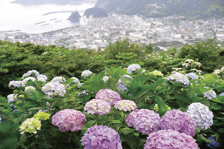 牛原山町民の森