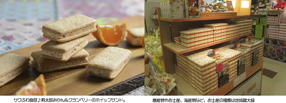 mitu寿太郎みかんサンドクッキー