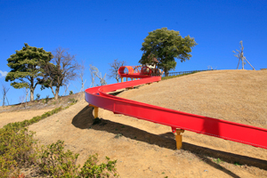 秋葉山公園