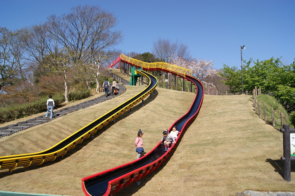 蓮華寺池公園