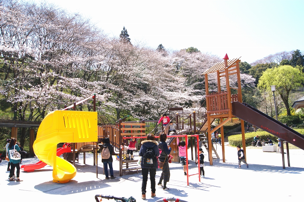 蓮華寺池公園