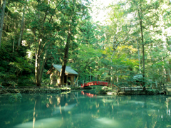 遠江国一宮 小國神社