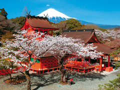 富士山本宮浅間大社