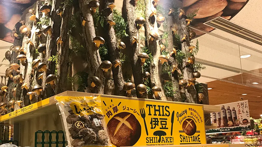 伊豆・村の駅 伊豆のへそ店