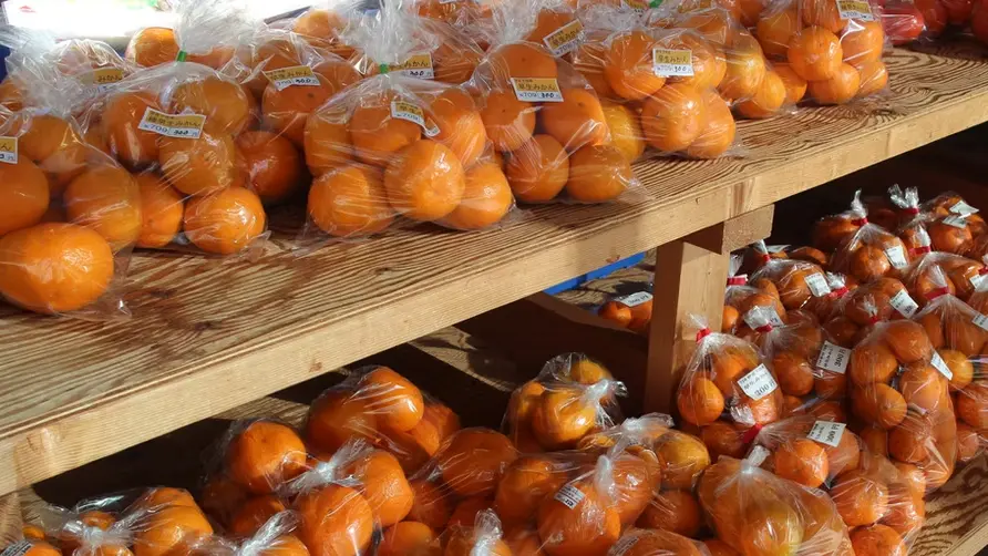 JAふじ伊豆直営店 ​ JA直売センター