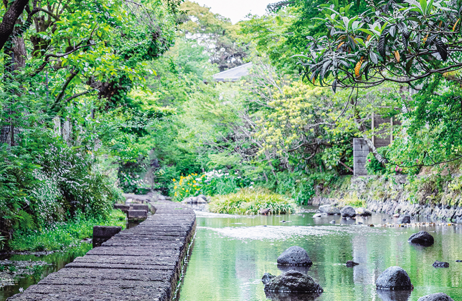 源兵衛川 水辺の道
