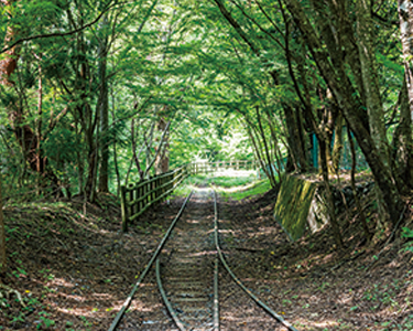 廃線小路