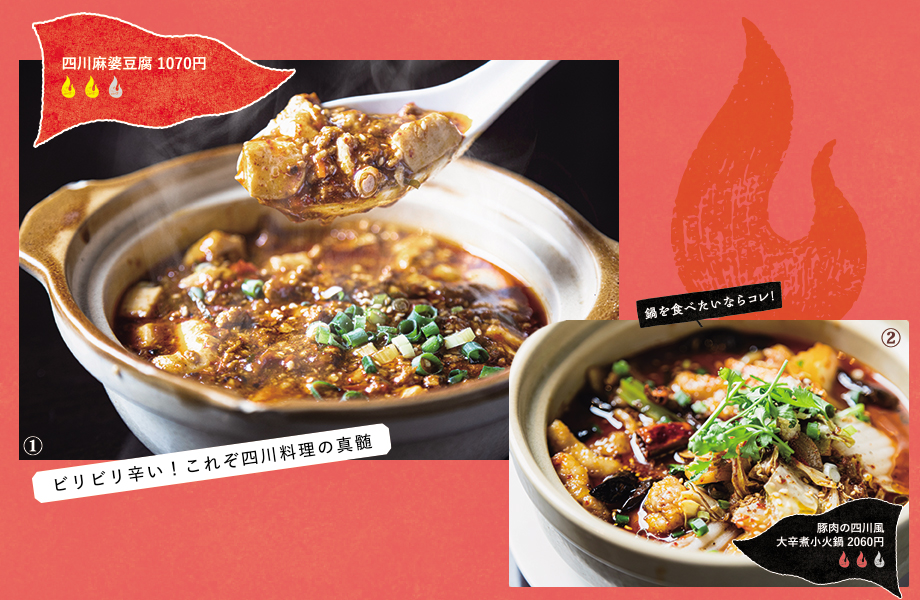 四川料理・火鍋 躍飛