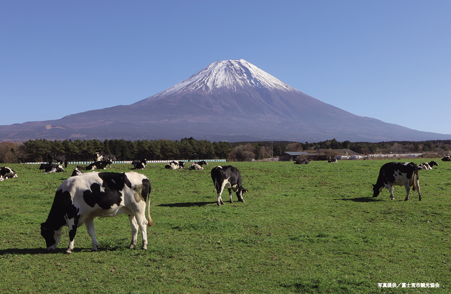 富士山ビューポイント