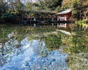 富士山本宮浅間大社・湧玉池