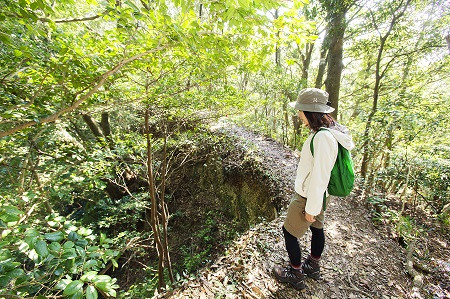 小笠山・六枚屏風（おがさやま・ろくまいびょうぶ）